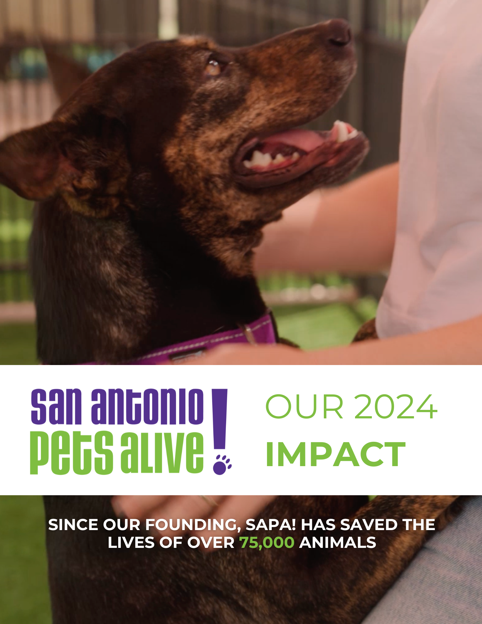 Sapa 2024 impact report long